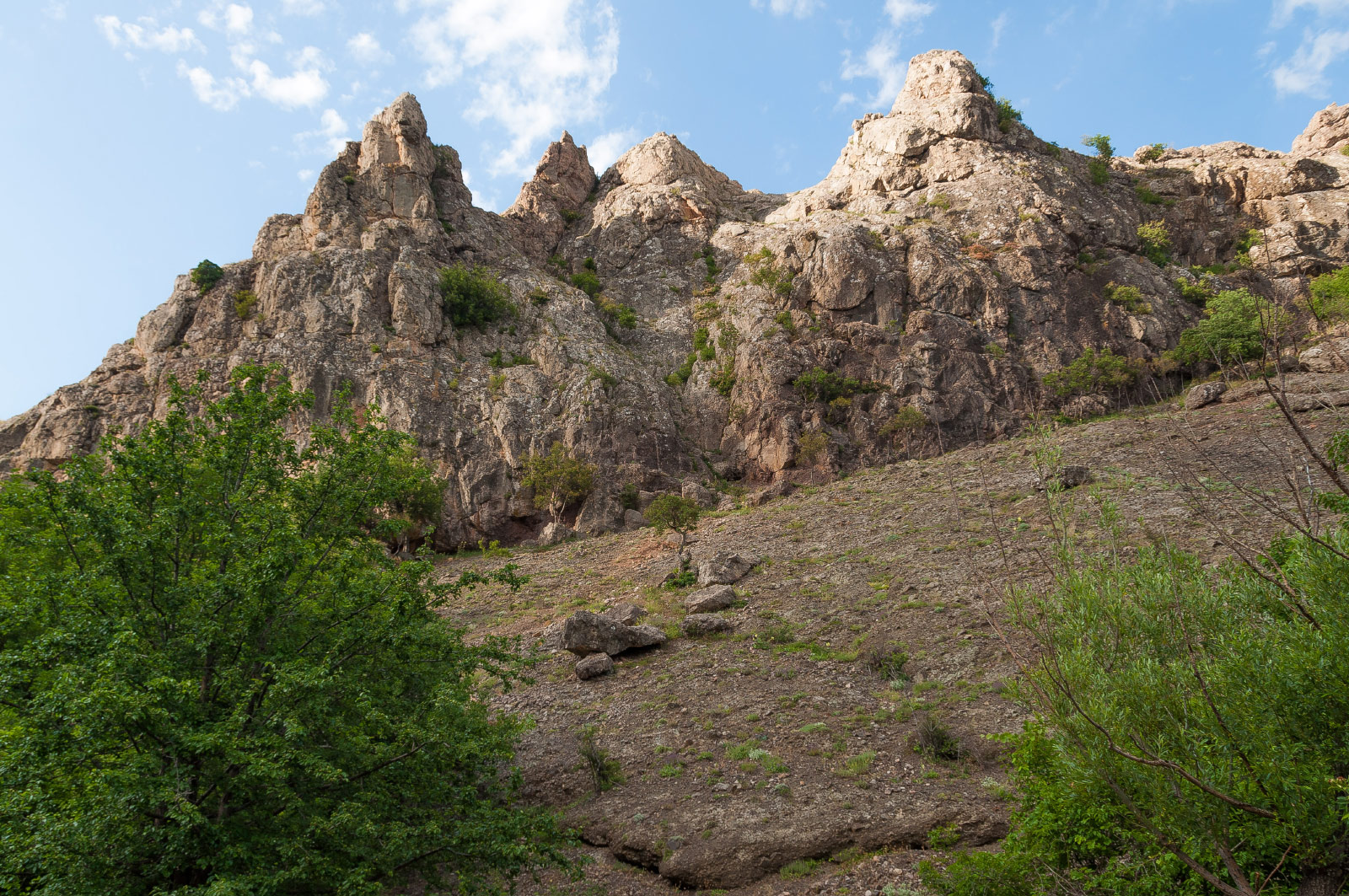 Zelenogorye (Зеленогорье)